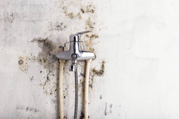 Home Mold Removal in Orinda, CA