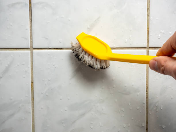 Best Best Mold Removal Companies  in Orinda, CA