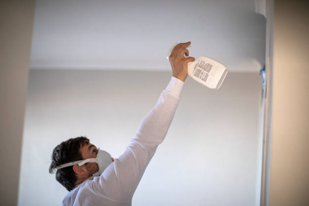 Best Commercial Mold Removal  in Orinda, CA