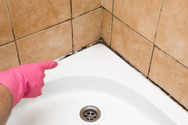 Best Commercial Mold Removal  in Orinda, CA